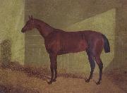 Margrave Winner of the st Leger John Frederick Herring